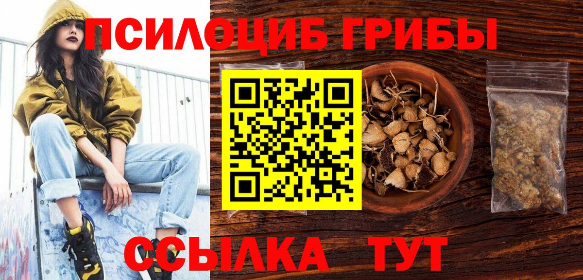 Галлюциногенные грибы Magic Shrooms Кольчугино