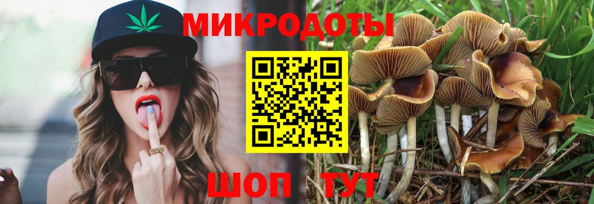 Галлюциногенные грибы мухоморы  Вход с VPN  Кольчугино 